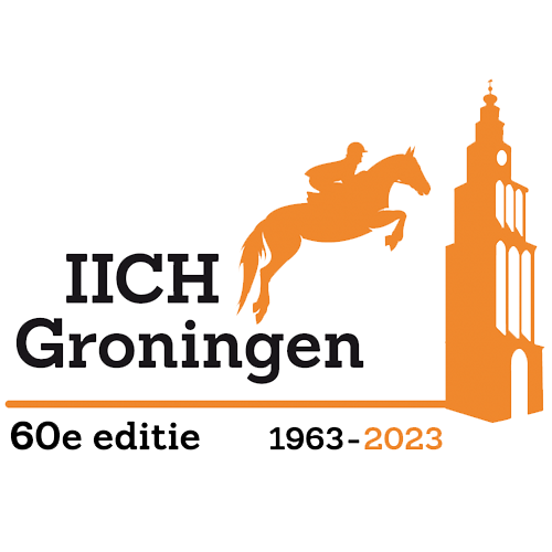 IICH Groningen Logo