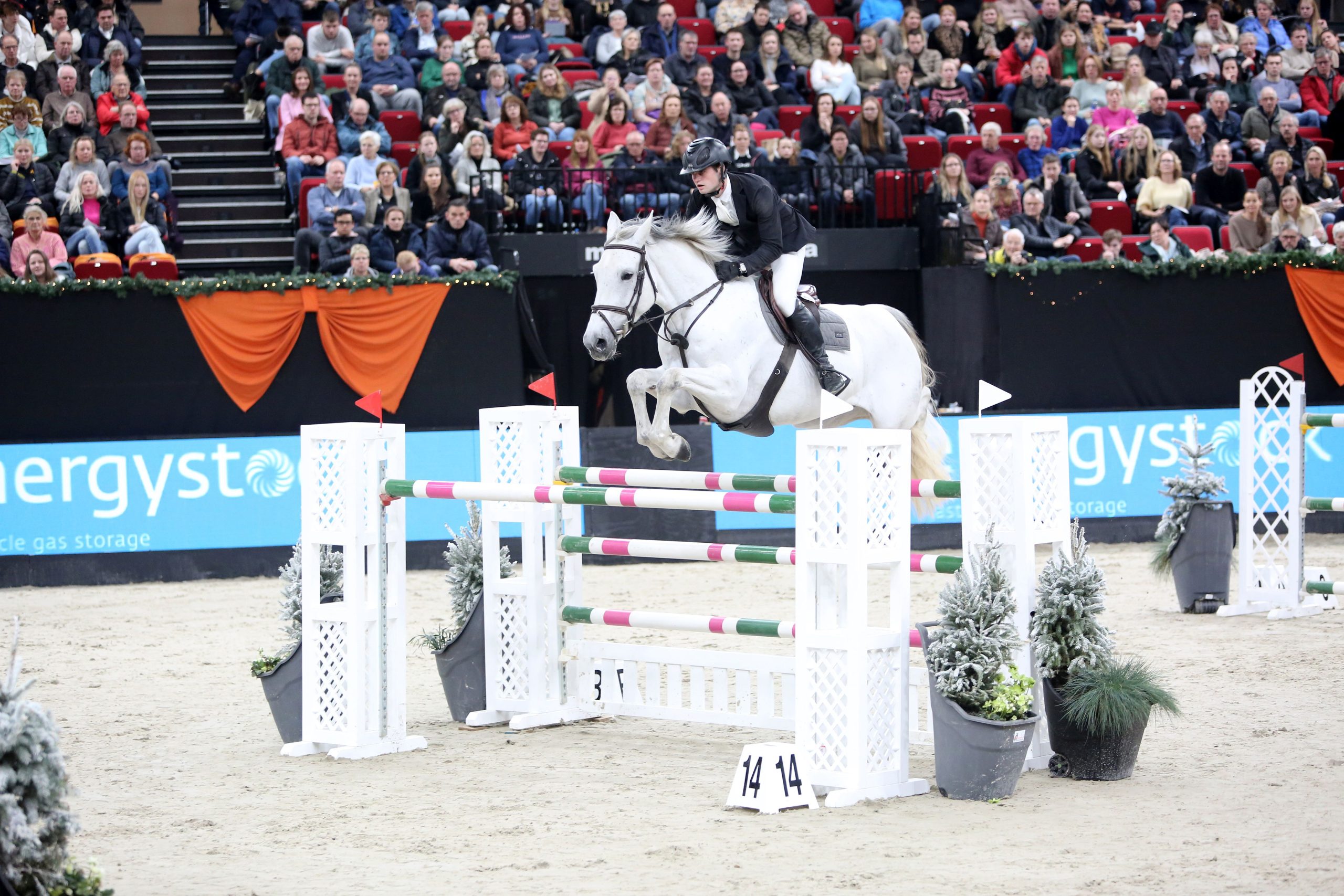 Moerings Kivinia Foto Mariol Middel