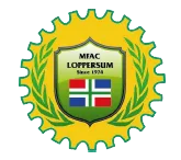 MFac Loppersum logo
