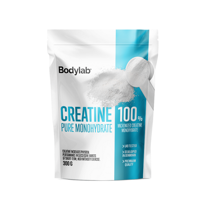 creatine 300g neutral pouch p