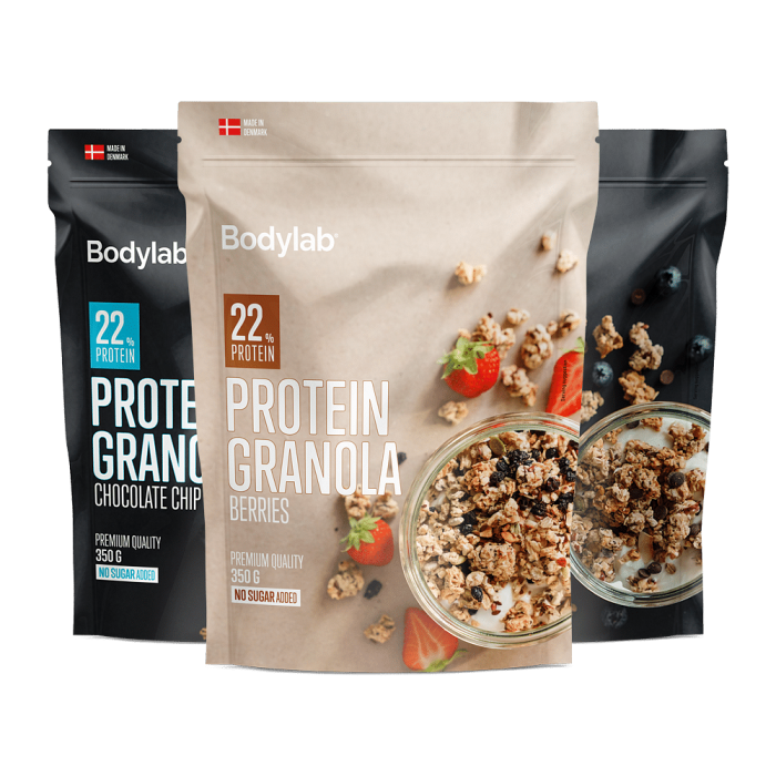 protein granola 500g 3stk p