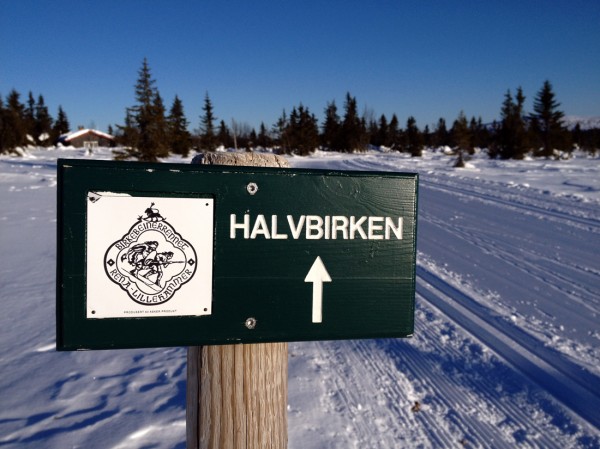 HalvBirken starter på Sjusjøen og svinger forbi demningen ved Kroksjøen, langs Kuåsen og over Gjestbodåsen, før den kommer inn på den tradisjonelle Birkebeinerløypen ved Midtfjellkoia. En lett og fin variant til det langt mer krevende Birkebeinerrennet. 