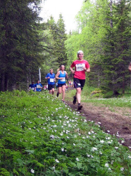 Birkebeinerløpet2013-stemning4