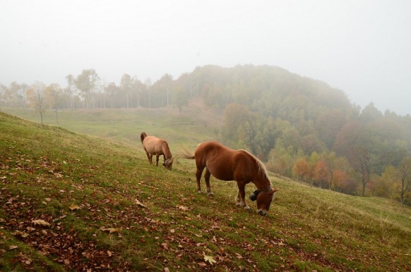 32_Panorama_04©UTLO_JuliaBaykova