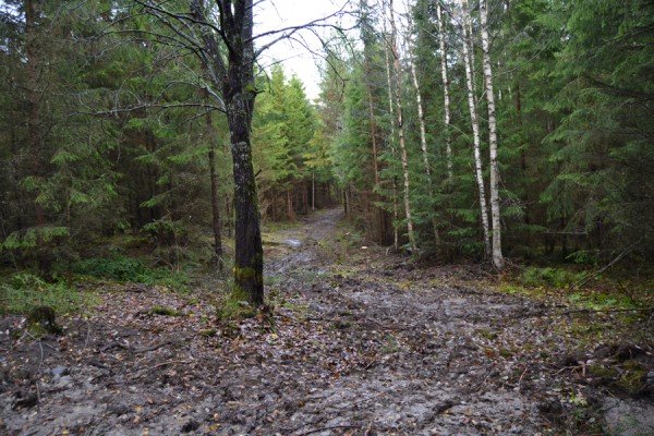 SNART KLART: Bare snøen kommer, kan du traske kilometervis i nye løyper.