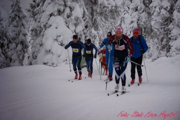 Marius Borger (nr 54, t.v) drar på klubbkamerat Thomas Gjestrumbakken (55) fra Spydeberg IL. Sistnevnte knep seg sekundet foran i mål og ble nr 15 totalt. Foran i bildet og først i det venstre sporet er Aurora Ulsaker Bjørn fra Vang Skiløperforening, 15-åringen som vant damenes 23 km. (Foto: Fra Stein Arne Negård sitt billedgalleri)