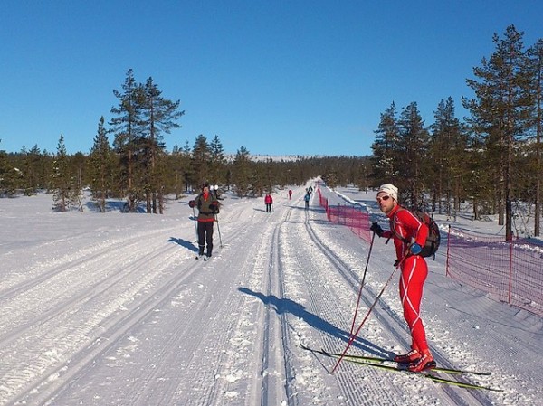 Birken2014_mot-Skramstad2-RolfBakken