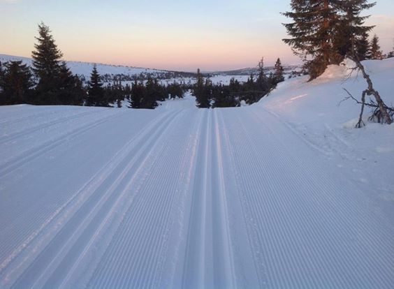 Fra Midtfjellet torsdag morgen. Selv om det meldes om sol og påskestemning mange steder i løypen i morges, er vinden for sterk over fjellet. (Foto: Johannes Haukåssveen)