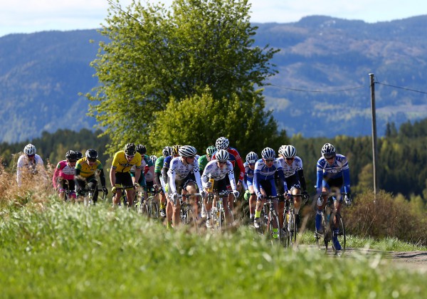 Menn, juniorer cruiser gjennom flott kulturlandskap i Norges Toscana. Foto: Bjørn Hytjanstorp