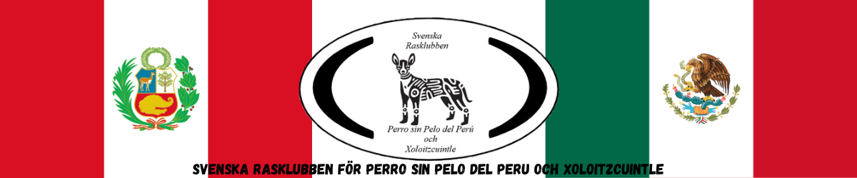 SPPX – Svenska Rasklubben för Perro sin Pelo del Perú & Xoloitzcuintle