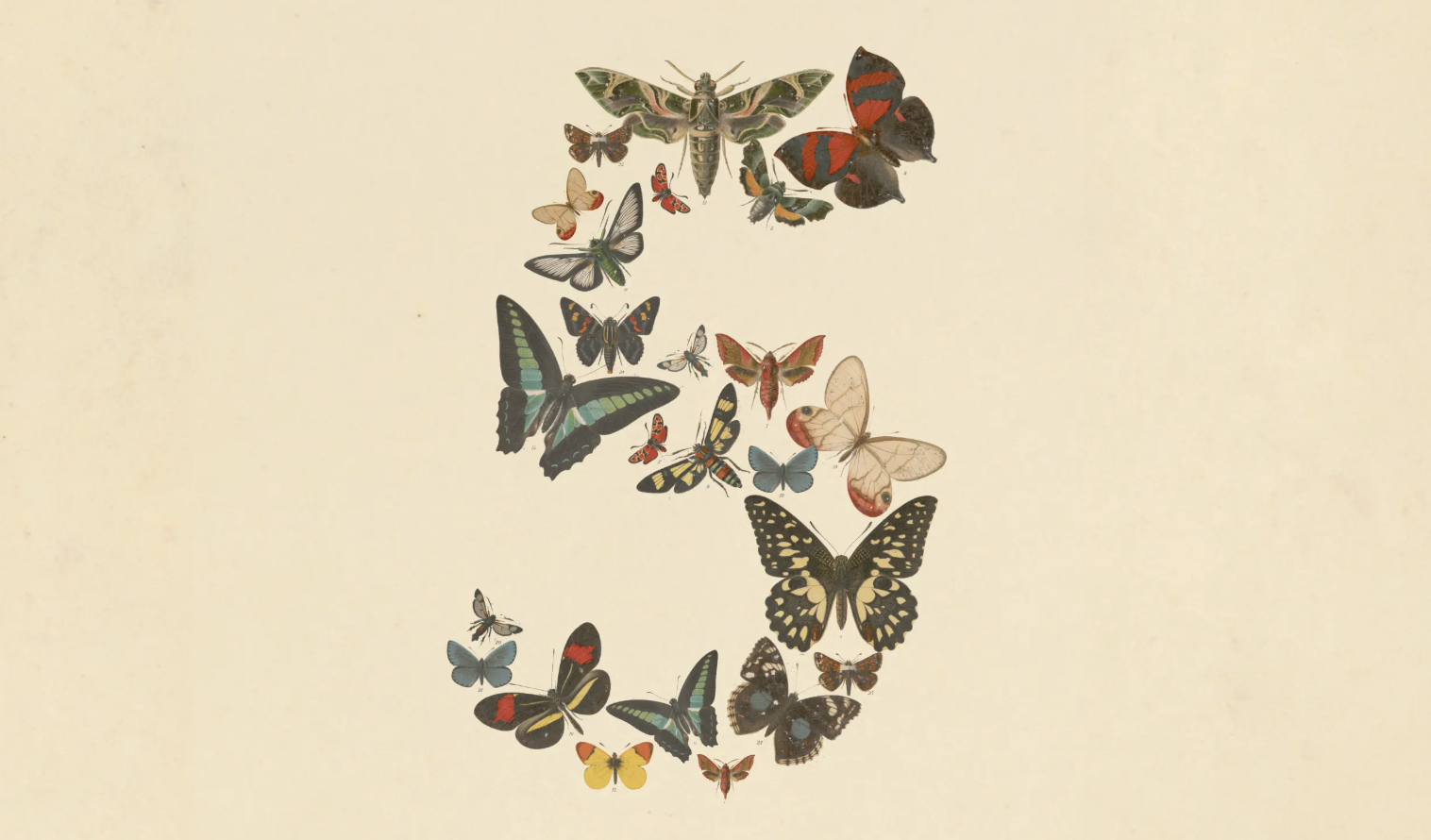 The Fable 5 Mirror: Why Rigid Control Cannot Contain Exponential Awakening