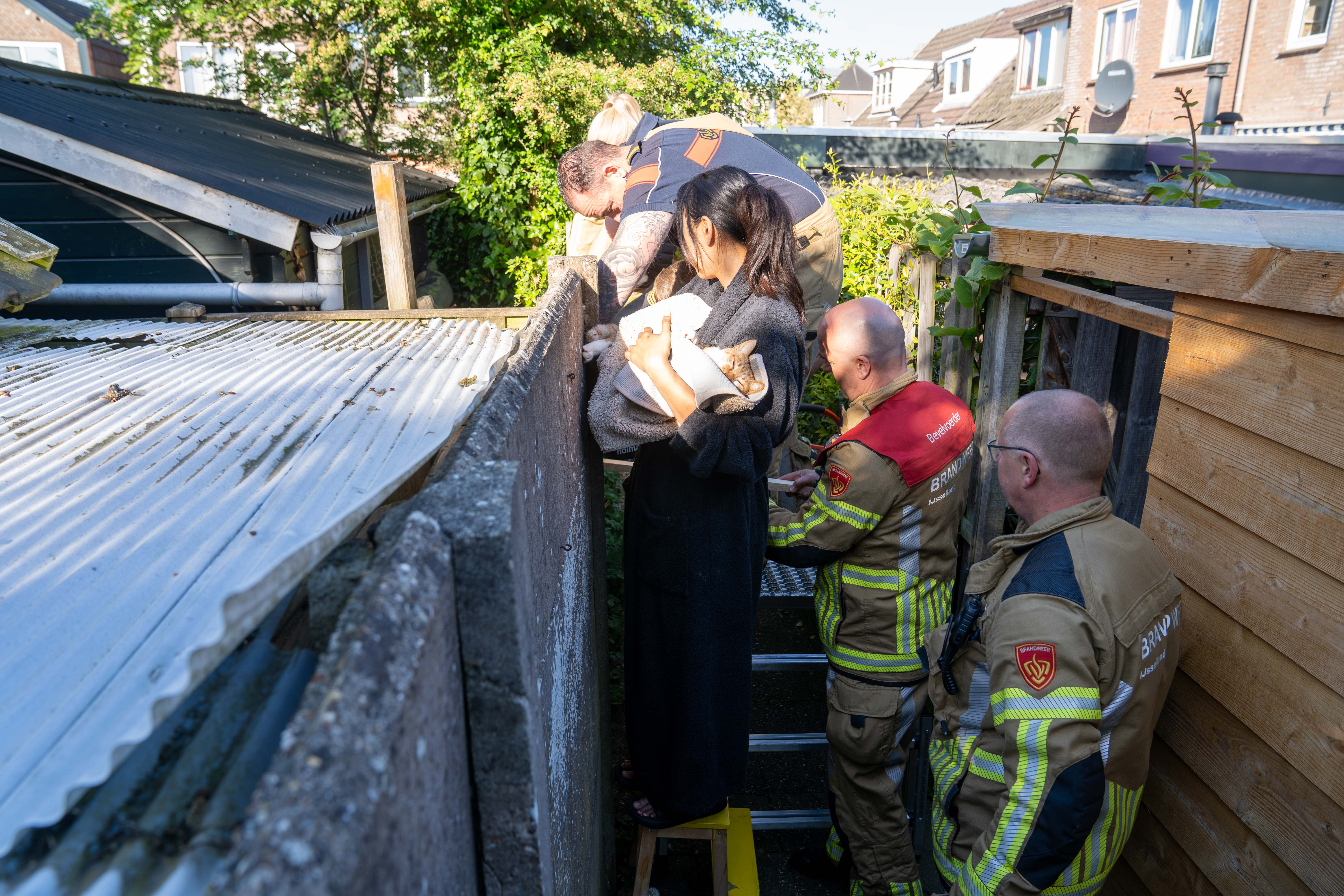 BcFFwFipzLr7-Kat-vast-in-muur-Deventer-3.jpg