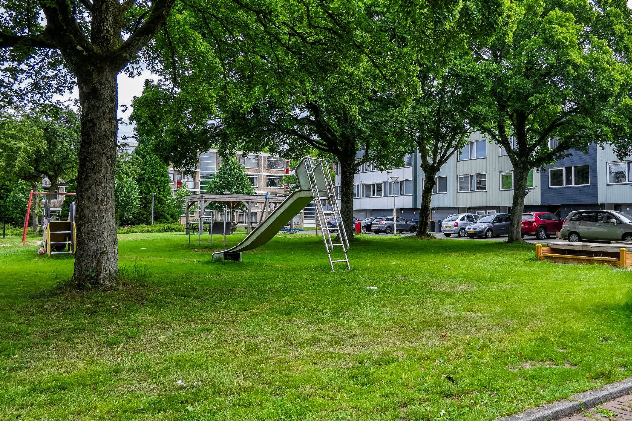 sZXutRfXr1w6-photo_2025-06-15_11-53-26-2.jpg