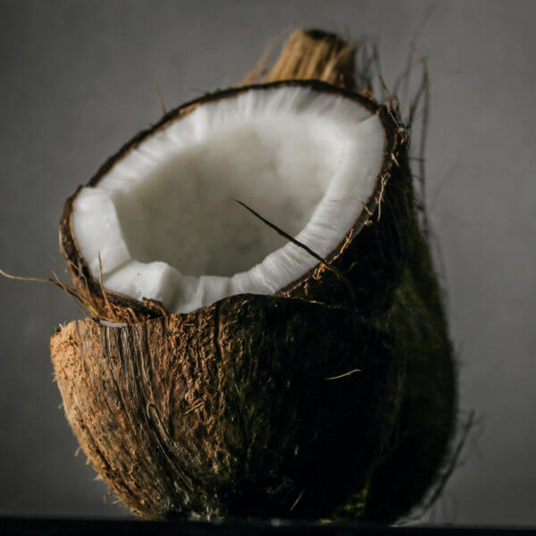 close-up-photo-of-coconut-1652002