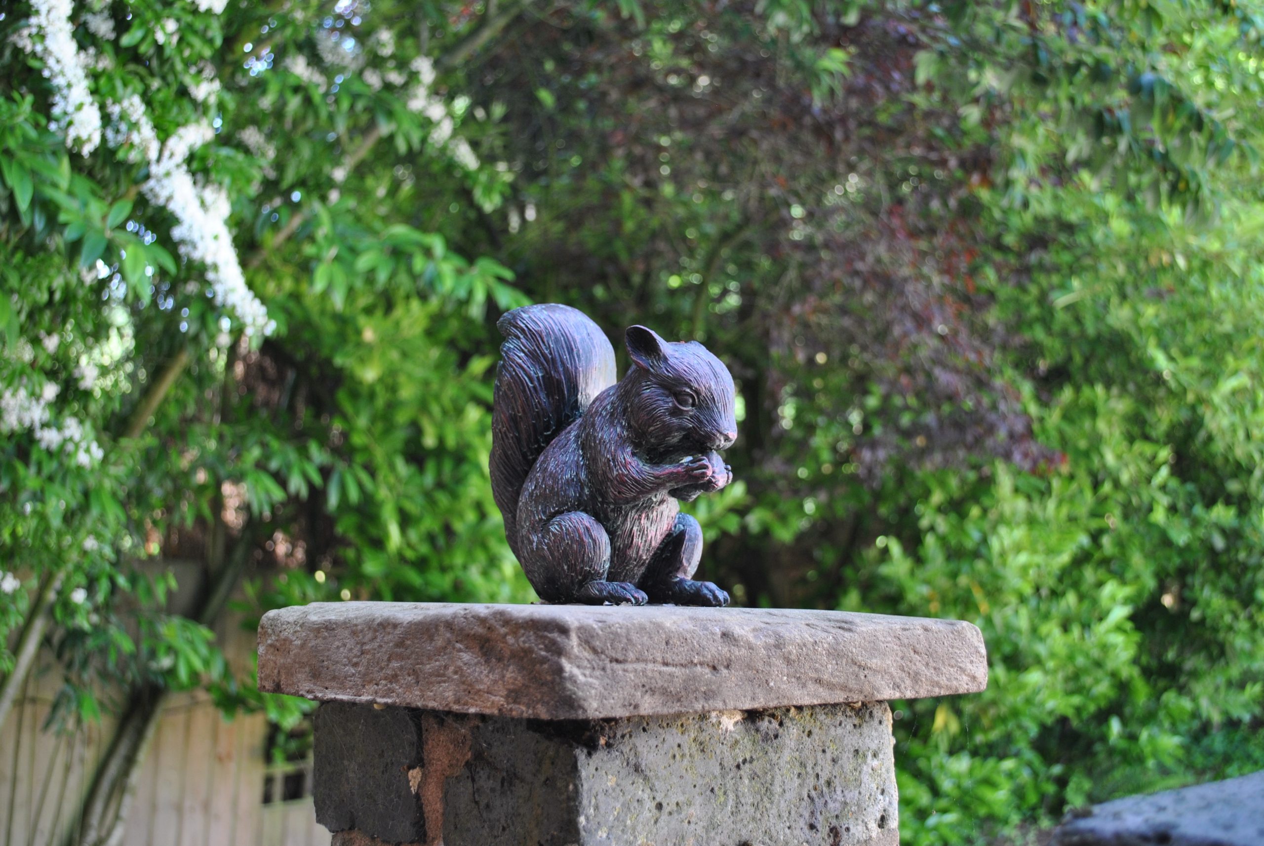 Squirrel Lettings, Self Catering Accommodation in Staffordshire, Book Direct