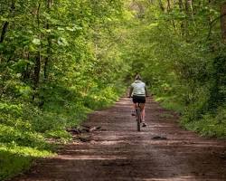 South Staffordshire Railway Walk on Squirrel Lettings