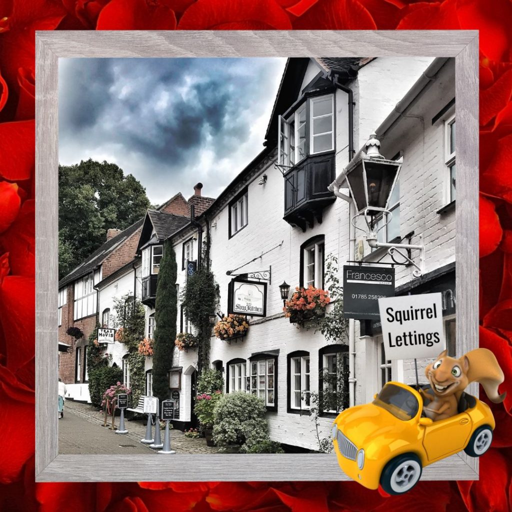 Stafford Town on Squirrel Lettings