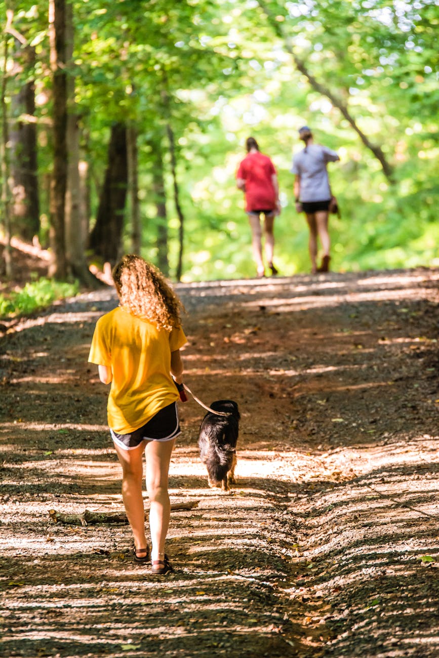 back view of girl in yellow shirt walking on an unpaved road with dog