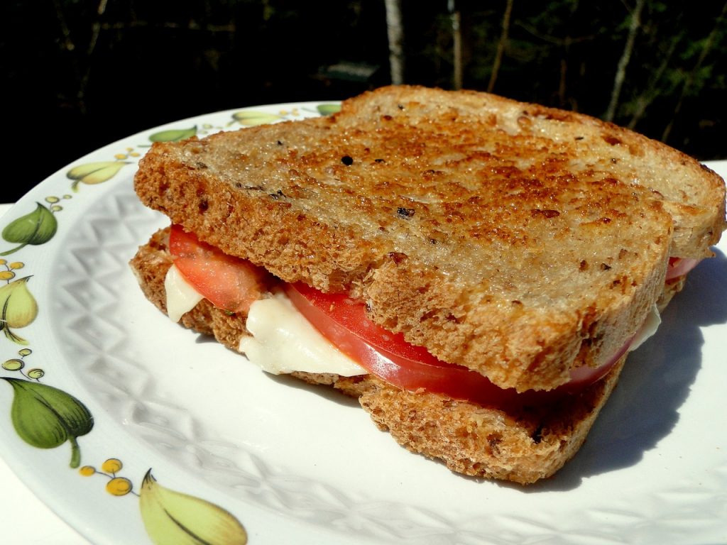 Grilled Cheese Sandwiches on the Squirrel Lettings