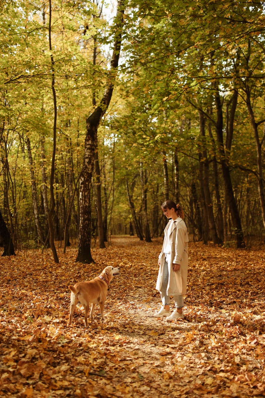 a woman and dog standing in the forest