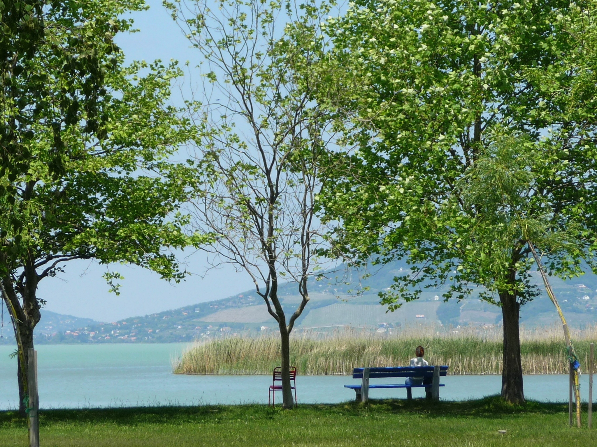 balatonsjön