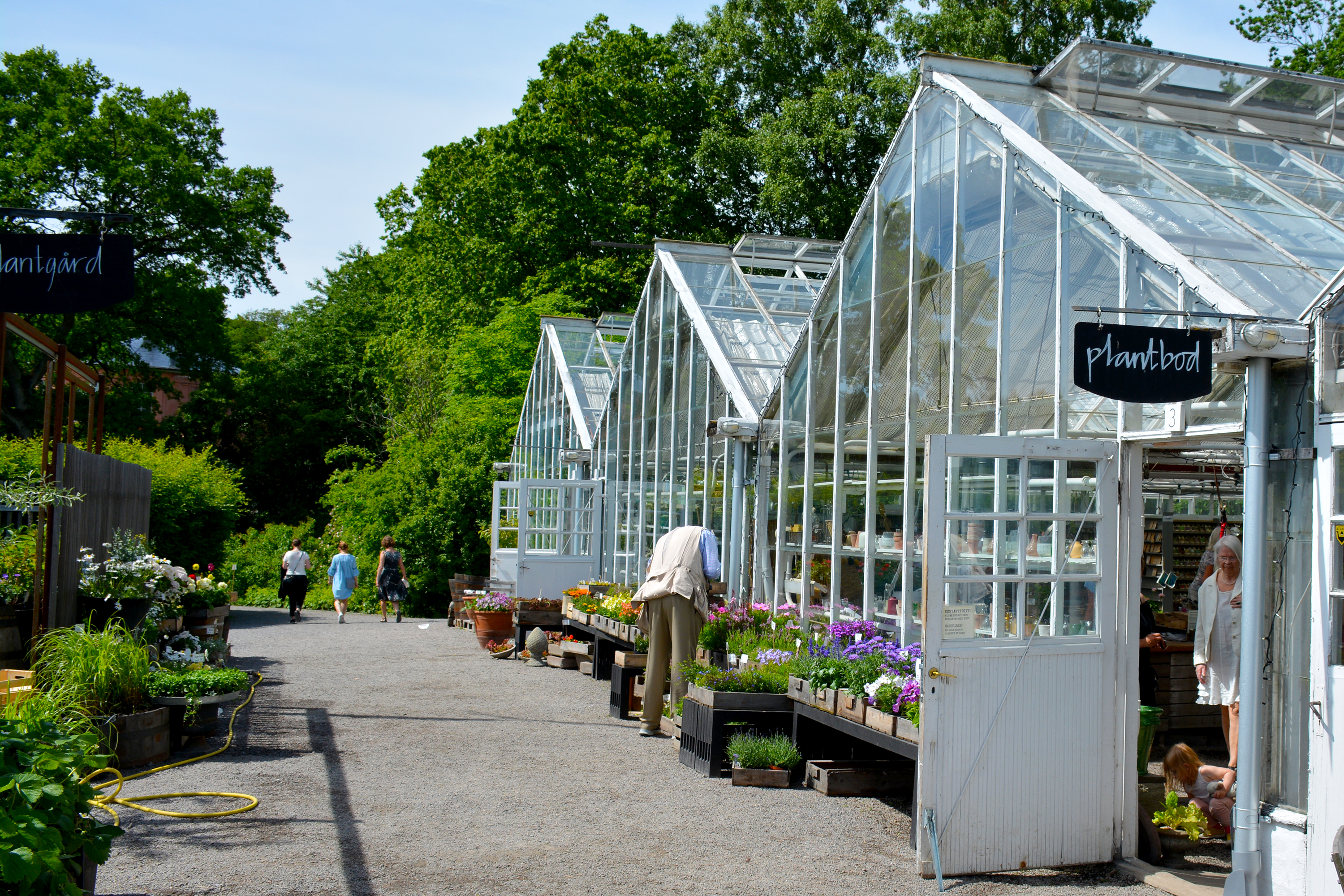 rosendals trädgård