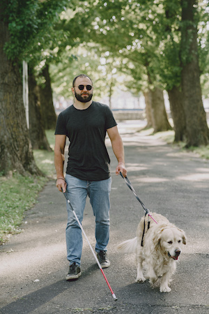 Ein Mann mit dunkler Brille, Langstock und einem hellen Labrador an der Leine. Er läuft auf einen parkähnlichen Weg zwischen Bäumen.