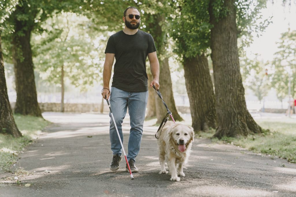 Mann mit weißem Langstock und Hund geht auf einem von Bäumen gesäumten breiten Weg