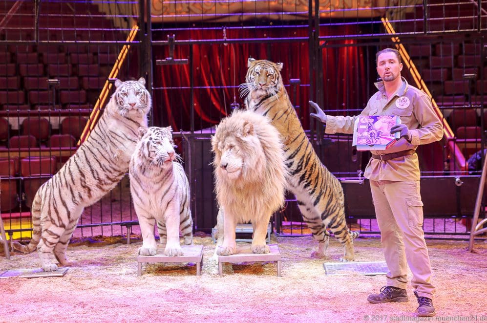Löwe und Tiger Circus Krone mit Tierlehrer Martin Lacey.