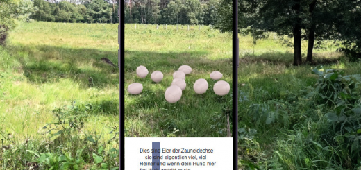 AR Anwendung: So würden die Eier vergrößert aussehen (Quelle: Stadt-Solingen)