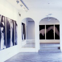 1995 Wetterling Gallery
