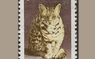 CATS ON STAMPS: Leopard Cat