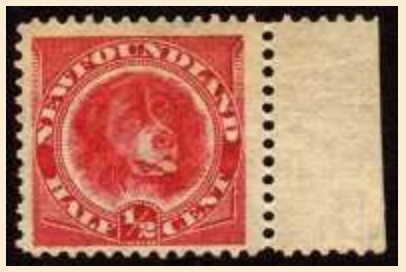 DOGS ON STAMPS: Newfoundland Dog