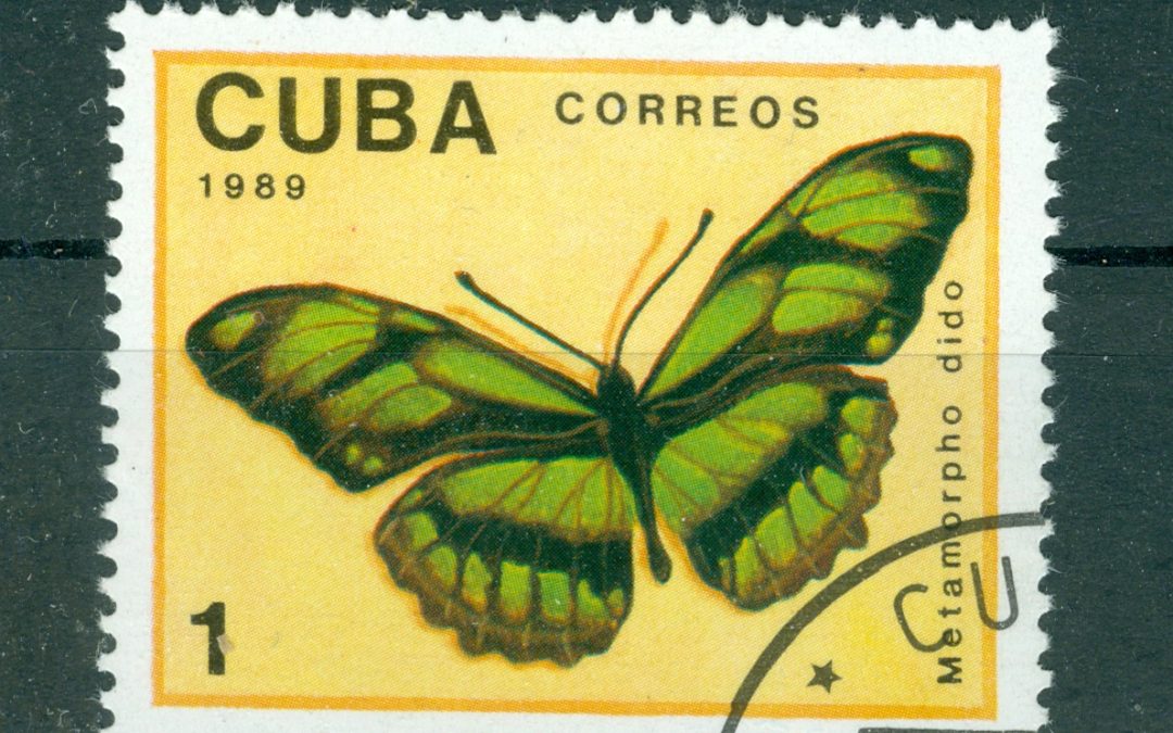 BUTTERFLIES ON STAMPS