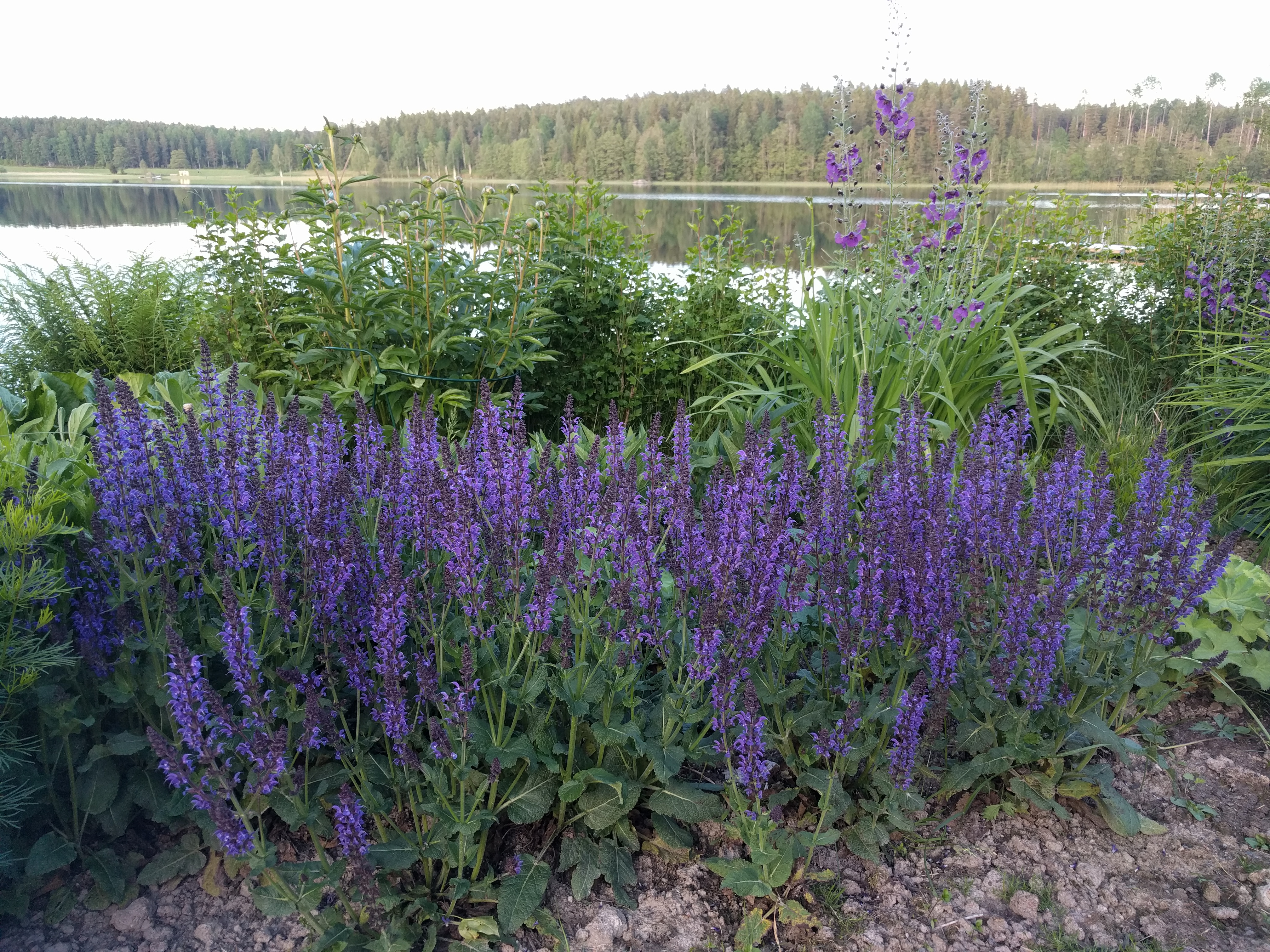 Trädgårdsbesök