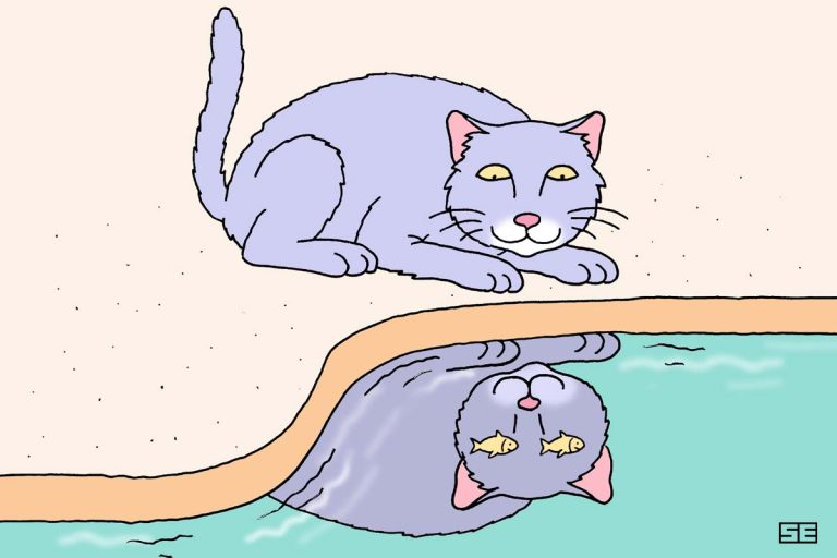 7 cat cartoons to brighten your day