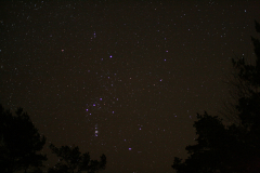 Orion