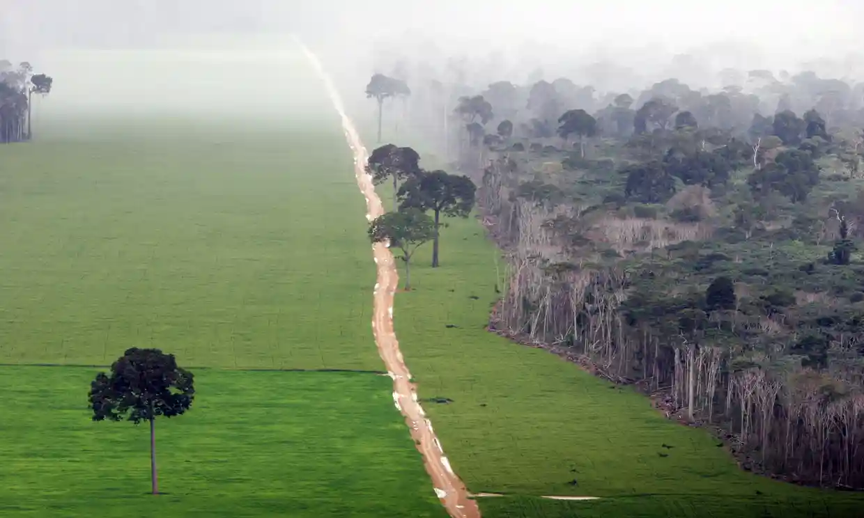 Ecological destruction is being done to Amazon rainforest by deforestation near Santarém, Brazil.