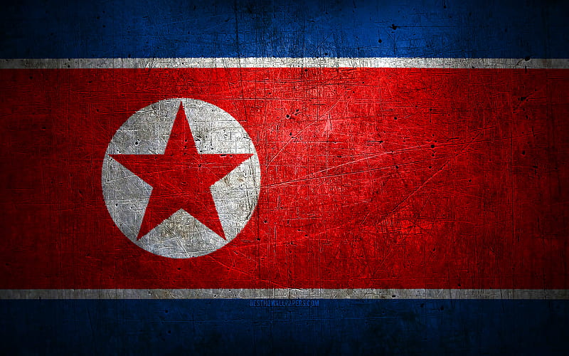 North Korean metal flag