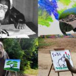 Artistic Expressions Beyond Humans: Exploring Animals That Create Drawings and Paintings