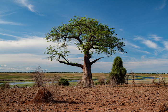 Botswana