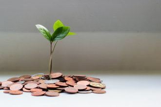 green plant on brown round coins Financial 5 Essential Tools to Optimize Your Financial Success