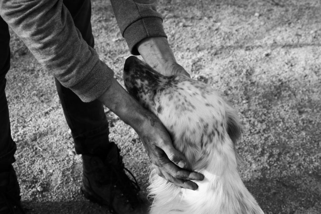 Building Trust man holding the head of dog