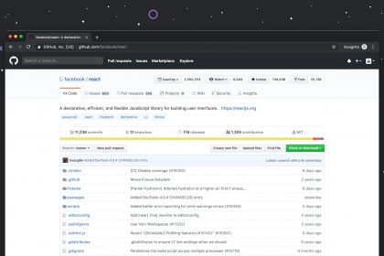 Github website on desktop