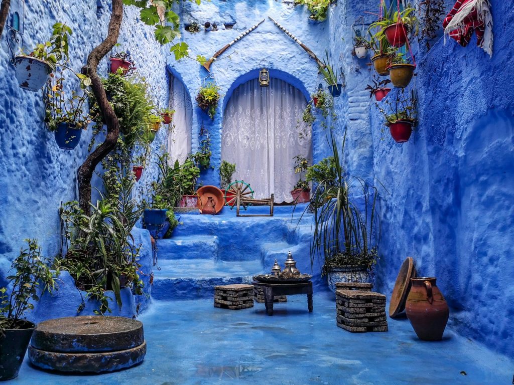 a blue alley with potted plants and a bench Chefchaouen Unveiling Earth's Treasures