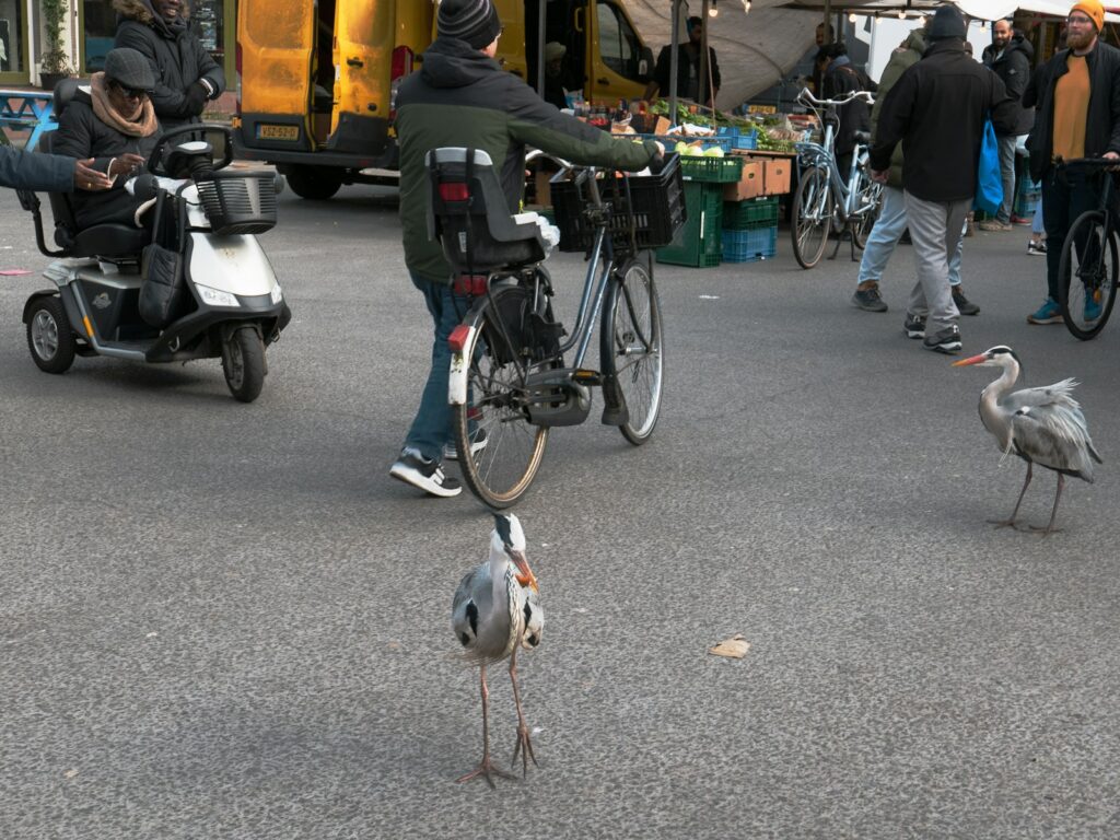 a bird standing next to a person on a bike Engaging with Local Communities Retracing Historical Events