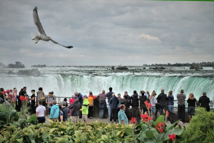 people taking picture of waterfalls under cloudy sky