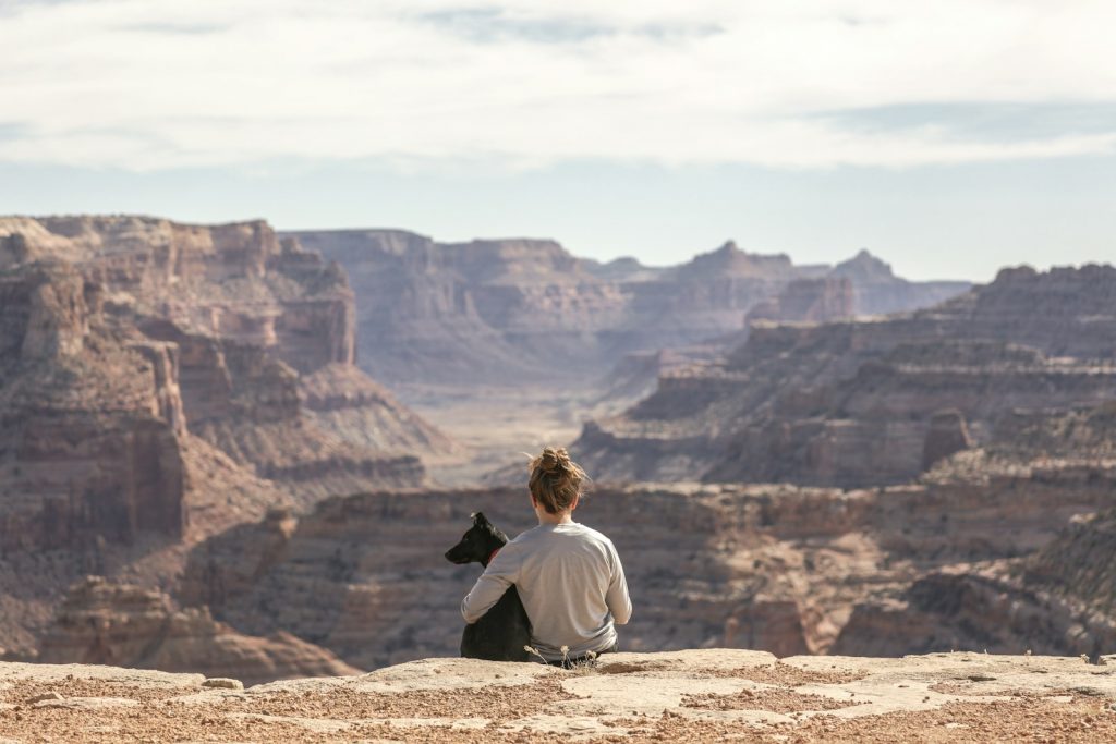 person with dog sitting on Grand Canyon cliff Pet-Friendly Destinations Traveling with Pets