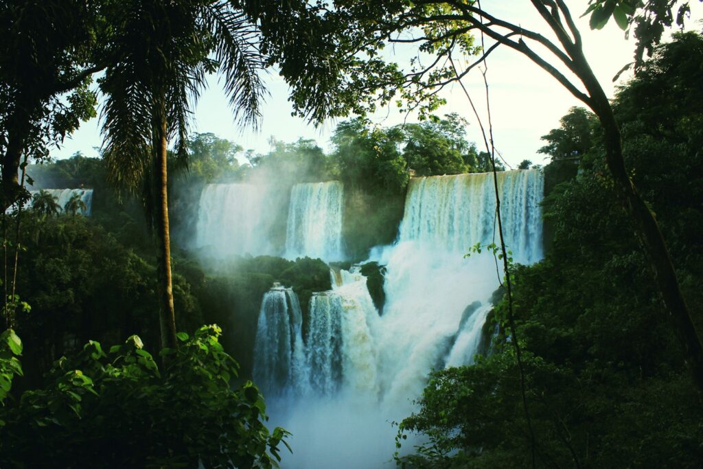 waterfalls between trees during day time Iguazu Falls Majestic Adventure