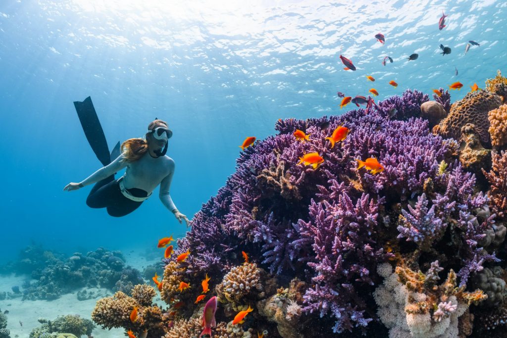 a woman scubas over a colorful coral reef Embrace the experience Embrace the experience Navigating Family Adventures